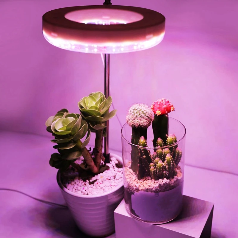 LED Grow Light-12H รอบจับเวลาอัตโนมัติสวิทช์ปรับแหวนแสงวงแหวนสําหรับสวนกระถางต้นไม้เริ่มต้นที่