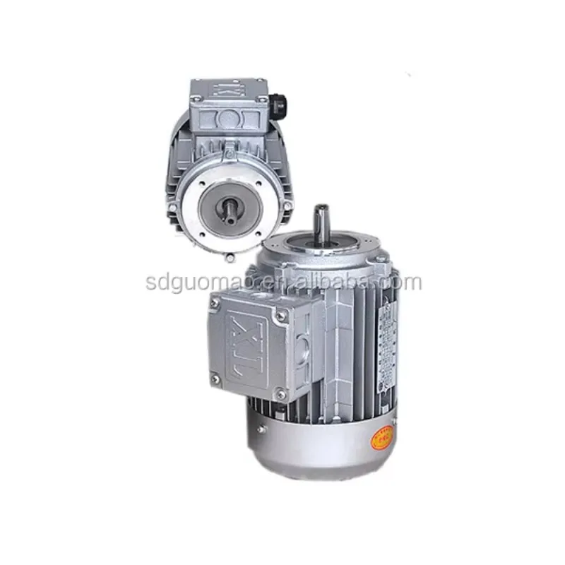 Three Phase Slip Ring Motor