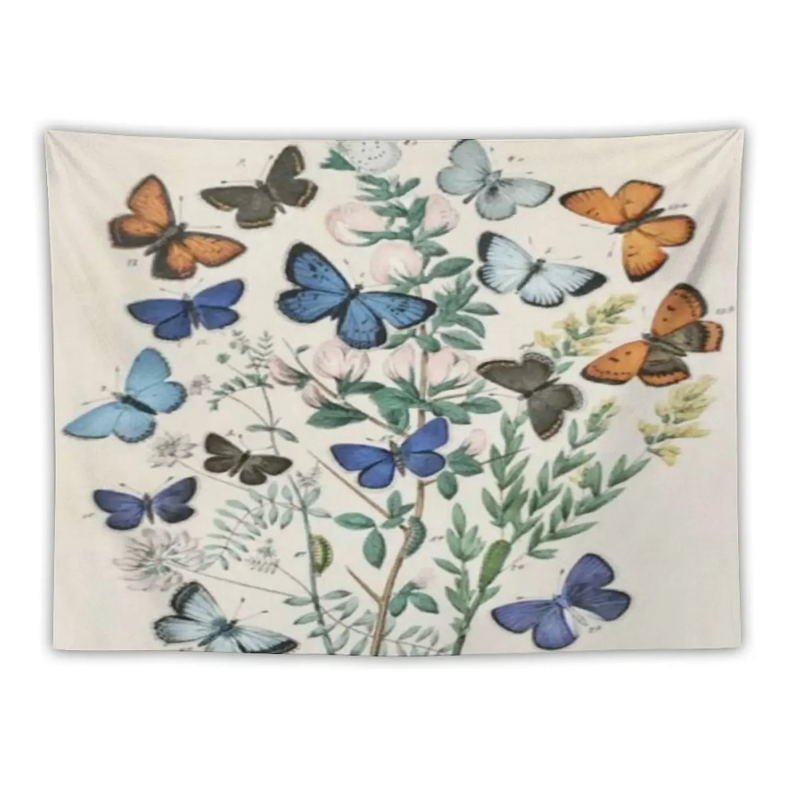 

Butterflies Tapestry Home And Comfort Decor Home Supplies Anime Decor Bedroom Organization And Decoration Tapestry