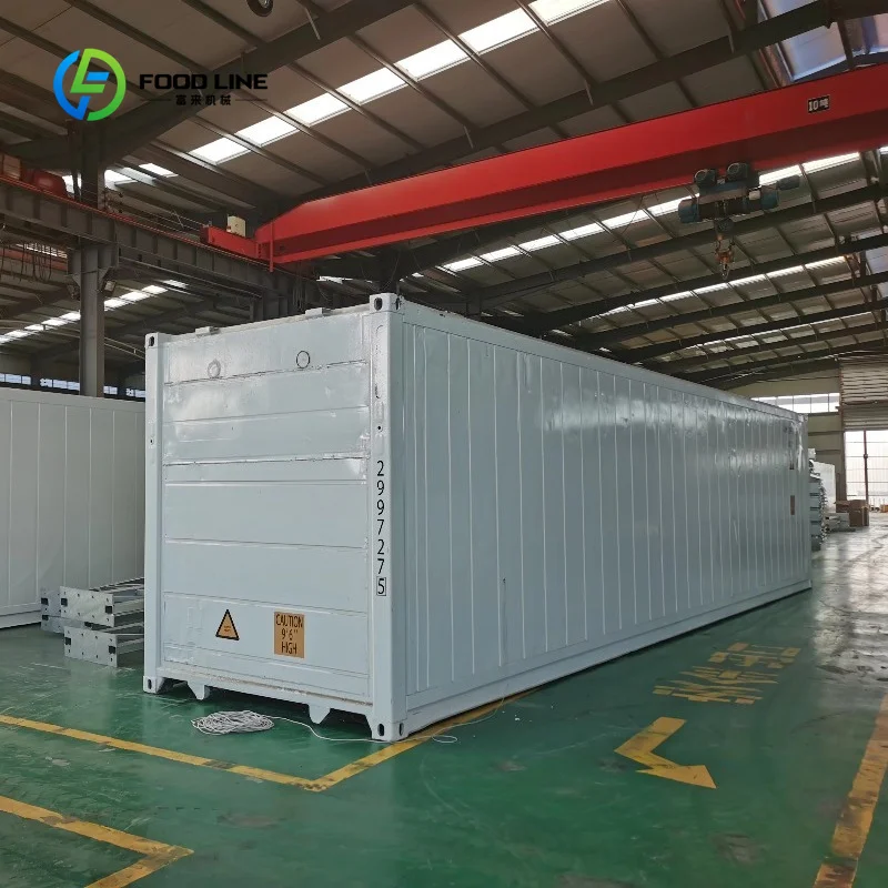 Customized Smart Farm Grow Hydroponic Agricultural Vertical Farming System 40HQ Shipping Container Farm Greenhouse