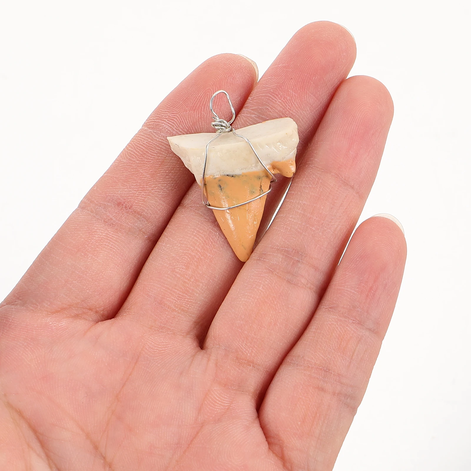 

2pcs Shark Tooth Pendant Cool Necklaces Charm Bulk Teeth Jewelry Resin Novelty for Boys Beach Teens Girls Shark Collection