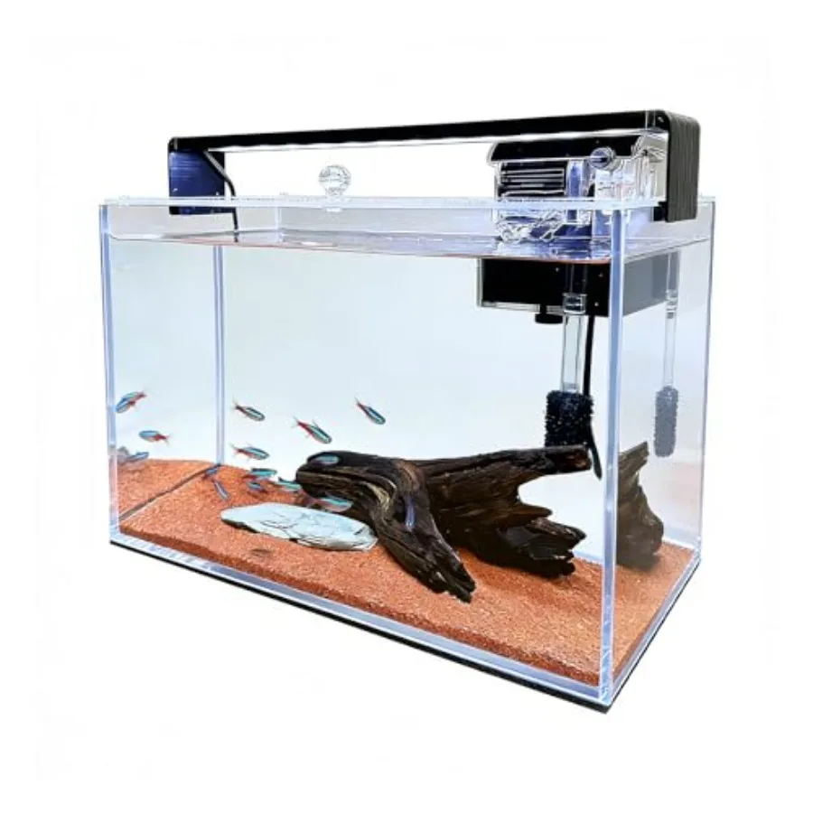 

Desktop nano aquarium for betta, shrimp, goldfish: 3.2-gallon ultra-clear rimless glass tank with filter, light, rainforest san