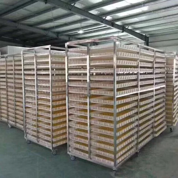 Commercial Automatic Electric Heat Pump Dryer Drying Machine Spices Noodles Fruit Fish Chips Farm Food Processing