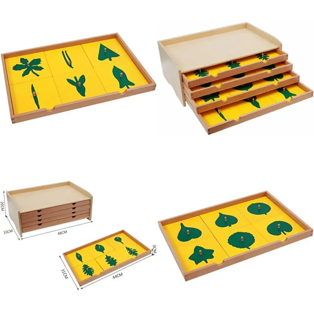 

Шкаф для раннего развития Montri: Ботаническая панель Lea для детей и дошкольников