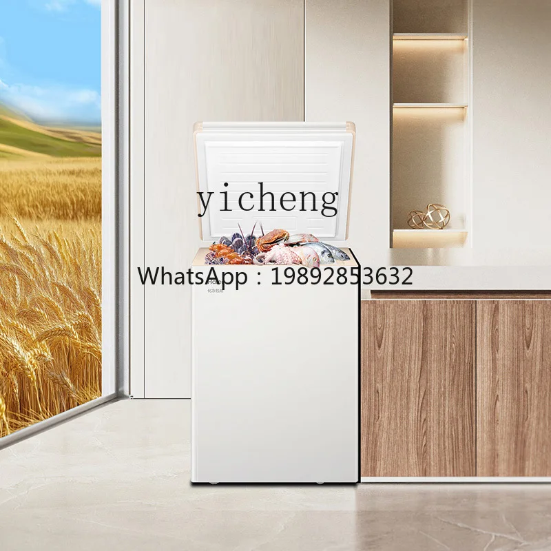 Household Small Full Freezer Refrigerator 100/200L Freezer First-Class Energy Efficiency Non-No Frost