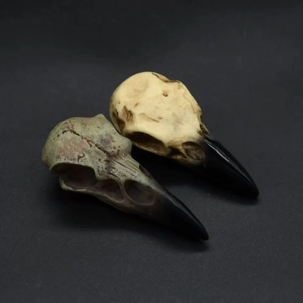 Punk Viking Amulet Crow Skull Pendant Vintage Nordic Mens Necklace Biker Amulet Jewelry Gift Dropshipping