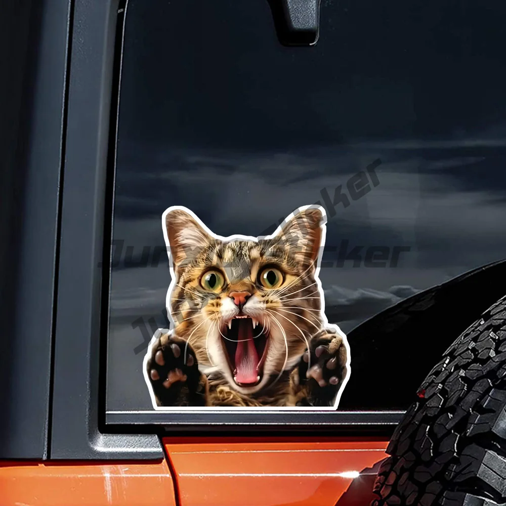 Surprised Kitten Car Decals for Windows, Vinyl Paper Cuttings Funny Animal Stickers, Gifts for Kitten Lovers, Truck