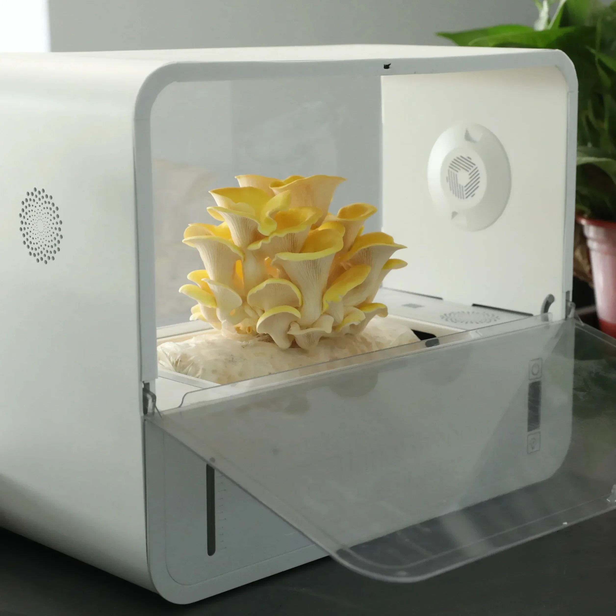 

Mushroom growing system with ABS material