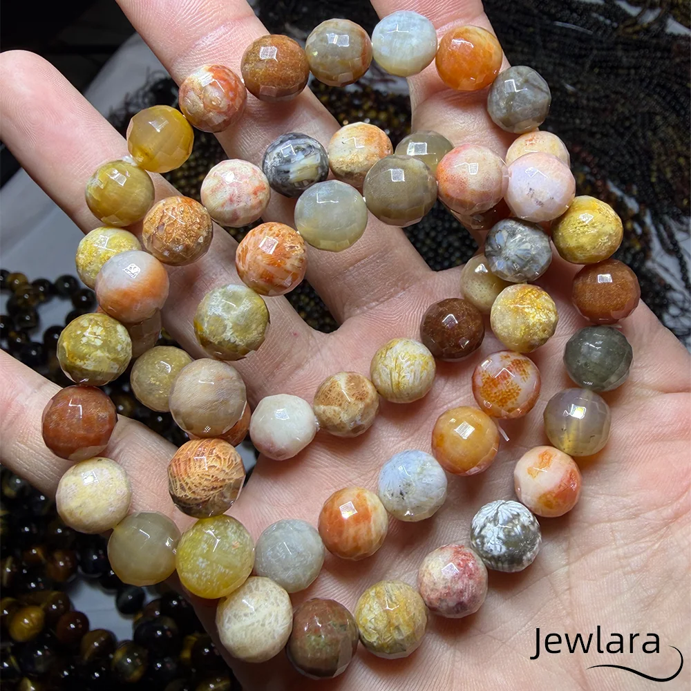 Jewlara Genuine Natural Fossil Coral Beaded Colorful Chrysanthemum Coral Fossil Stone Reiki Healing Crystal Elastic Bracelet