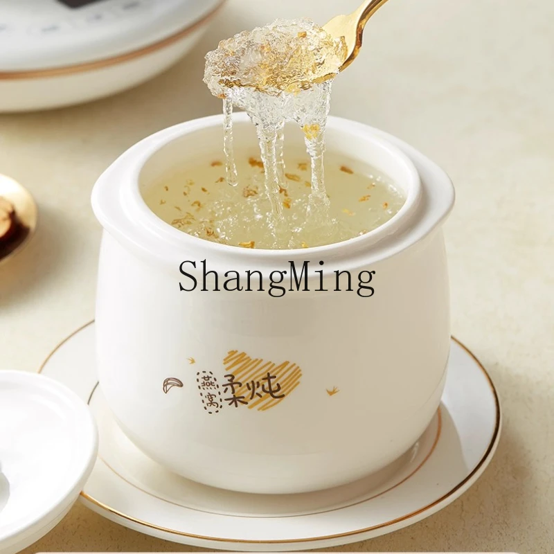 ZYY الحساء المقاوم للماء المنزلية وعاء الحساء الكهربائي التلقائي حساء السيراميك الصغيرة آلة الطبخ متعددة الوظائف