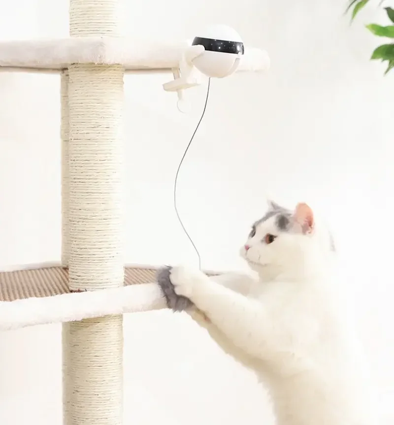 Elektronische Bewegung Katze Spielzeug YoYo Hebe Ball Elektrische Flattern Interaktive Katze Teaser Spielzeug Rotierenden Interaktive Puzzle Haustier Spielzeug – Detail 8