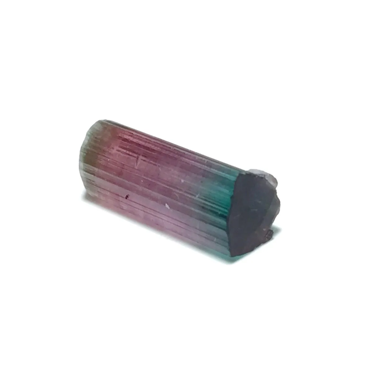 Brazilian Elbaite Crystal Points, 10g 5-15mm Random Colors, Display Box for Gemstone enthusiasts who love natural stones
