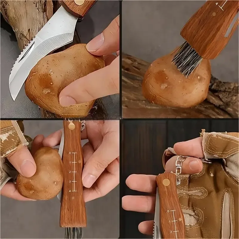 Stainless Steel Mushroom Knife with Brush Outdoor Camping Knife Folding Knife Wooden Handle Mini Mushroom Knife Pocket Knife