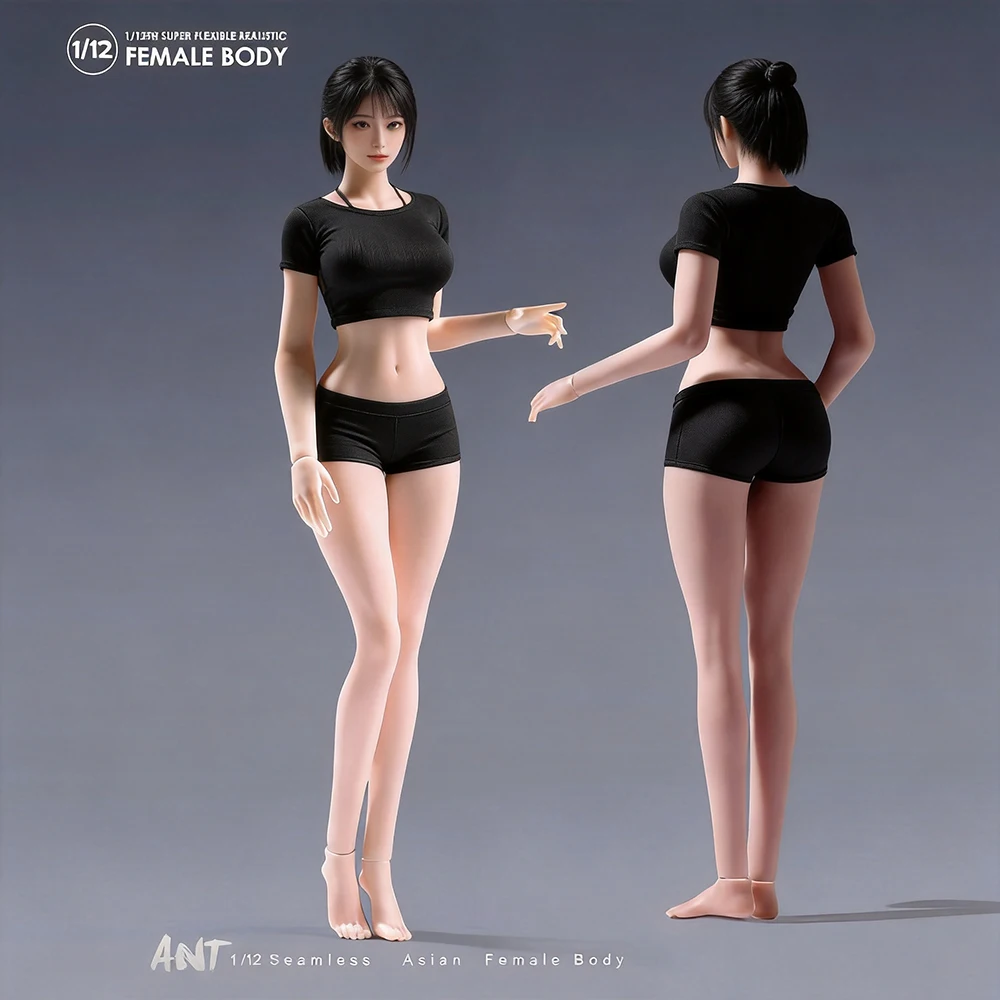 

N306 1/12 Fitness Edition Body Big Chest Detachable Feet Pale/Suntan Skin Heigh 14.5cm Female Soldier Action Figure Dolls Toy