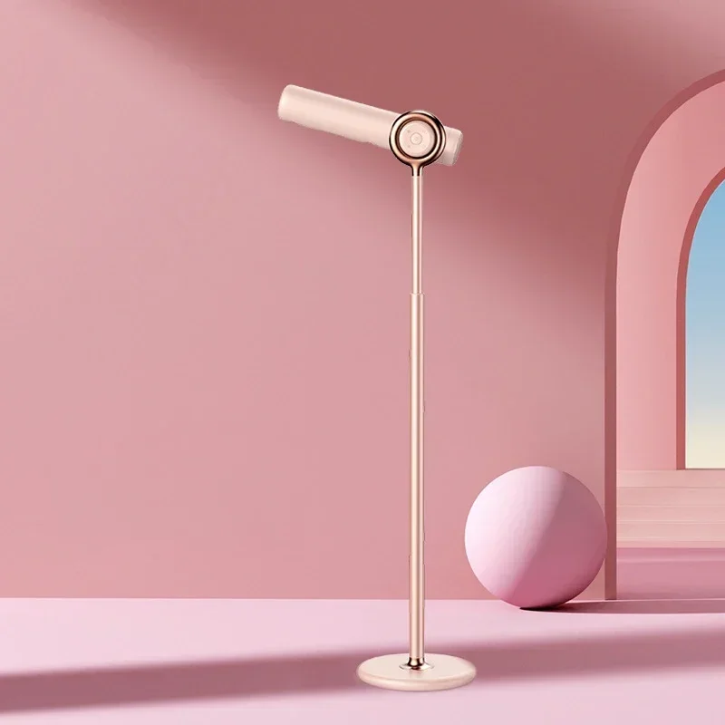 Sèche-cheveux vertical domestique, Ion négatif, Soin des cheveux, Haute puissance, vaccage rapide, étiez ère les mains, Atterrissage, 1700W