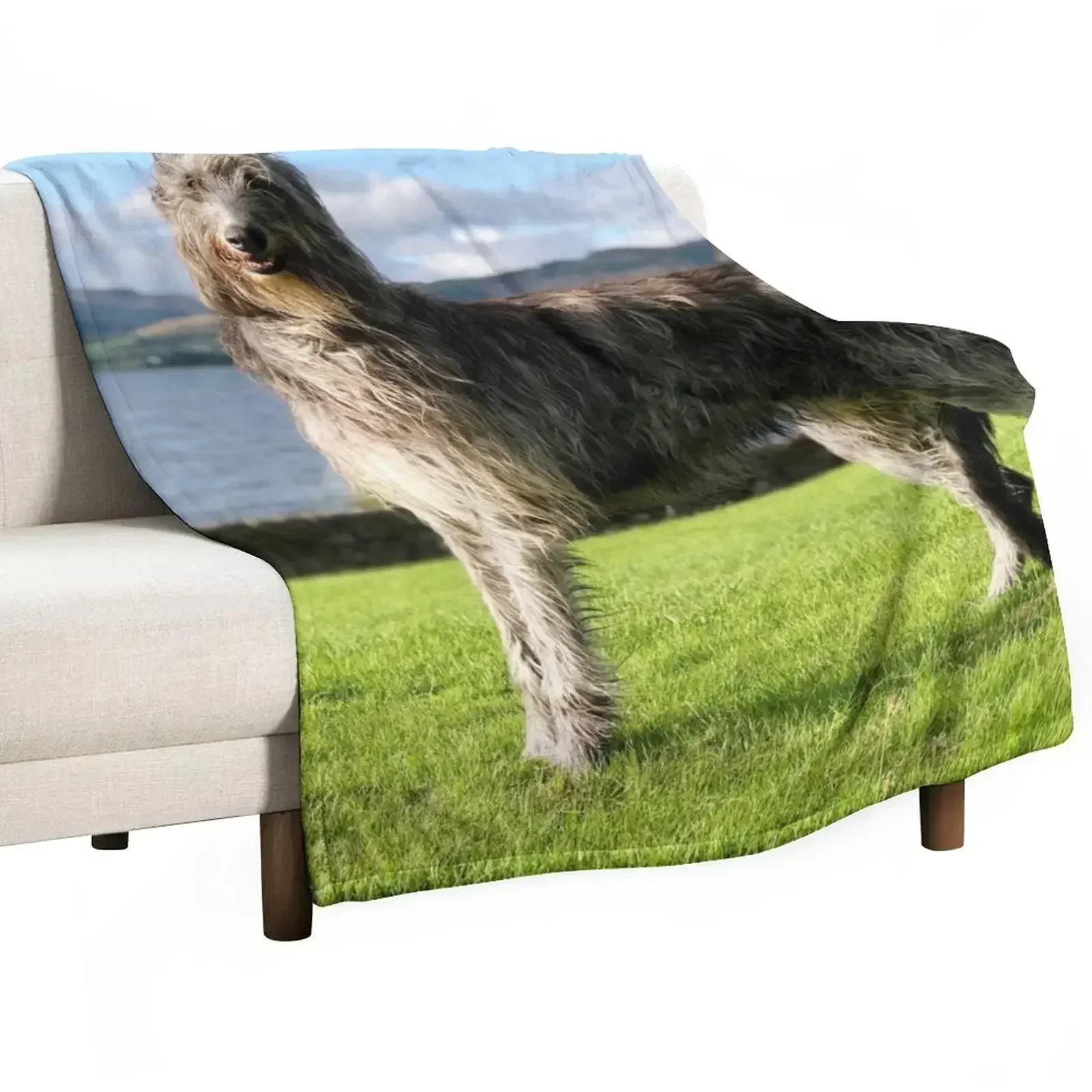 Stunning Scottish Deerhound in Scotland Throw Blanket Picnic Sleeping Bag Flannels Blankets