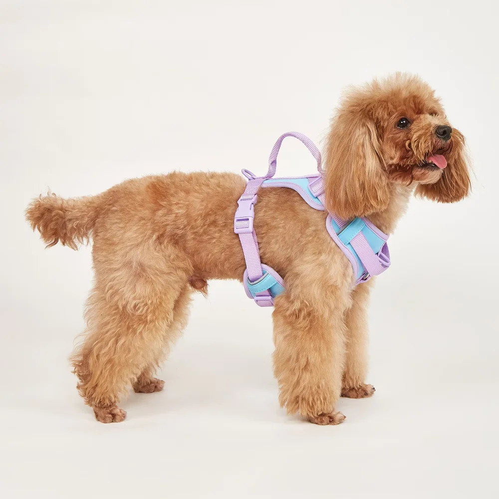 

Neoprene Dog Collar and Leash set with Dispenser Dog Chest Soft Adjustable Dog Vest Harness Matching Leash Waterproof Apparel