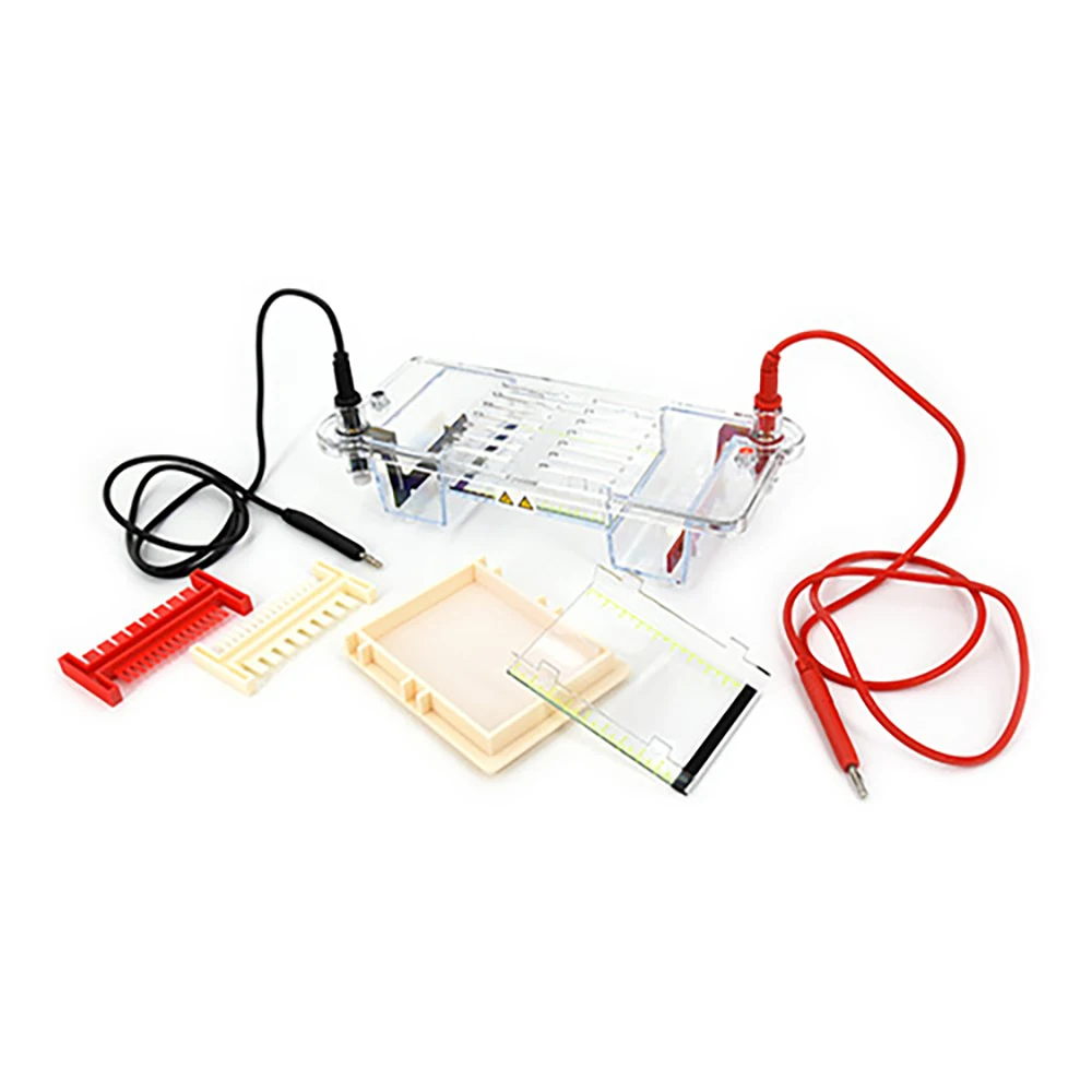 DYCP-31CN 100 x 70 mm Cheap Mini Lab Modular Horizontal Agarose Gel Electrophoresis Cell System