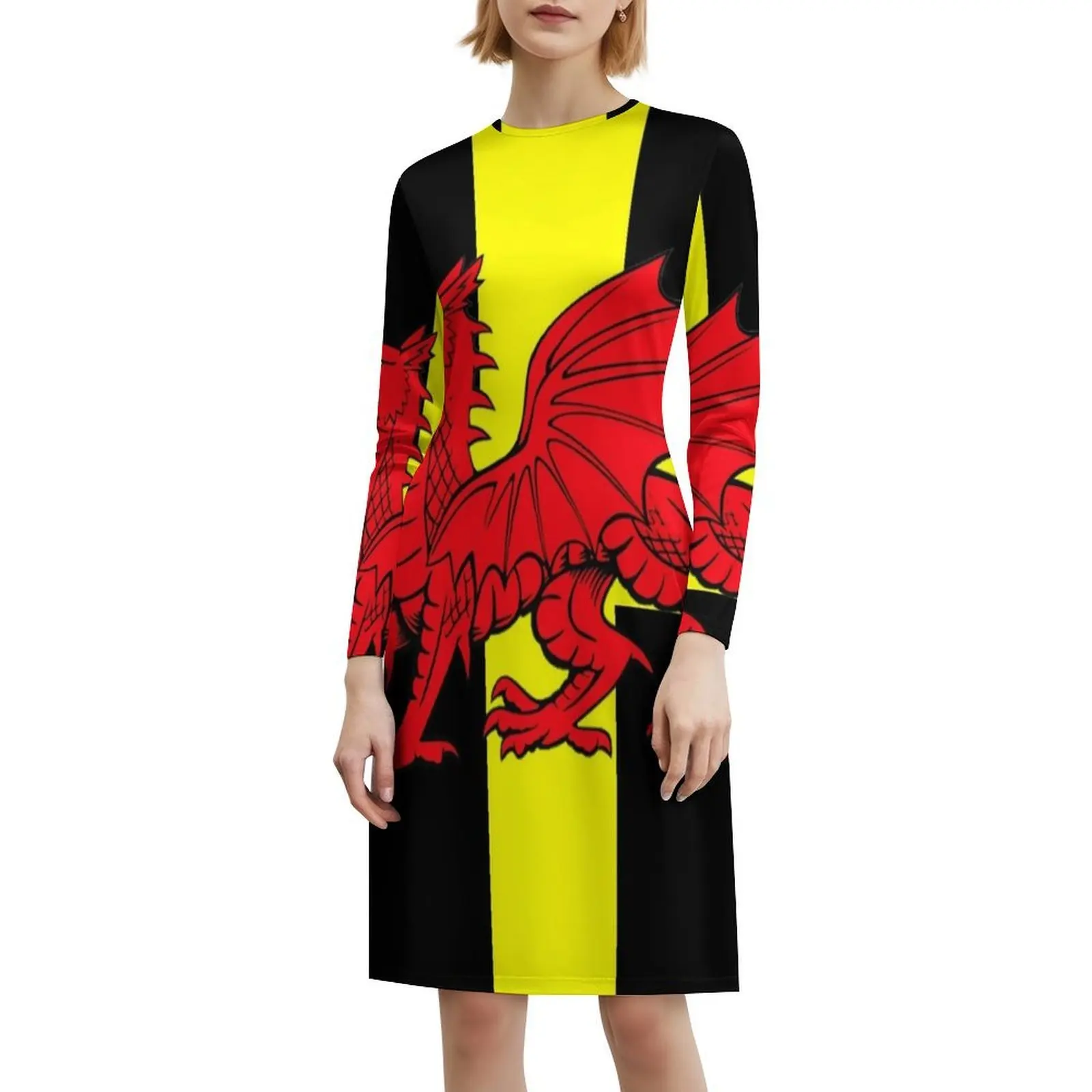 فستان بانر ديفي سانت A'R Ddraig Goch Preppy Style فستان قصير للنساء على شكل حرف a فضفاض مناسب فستان يوم غير رسمي Cofiwch Cofiwch Dryweryn #6