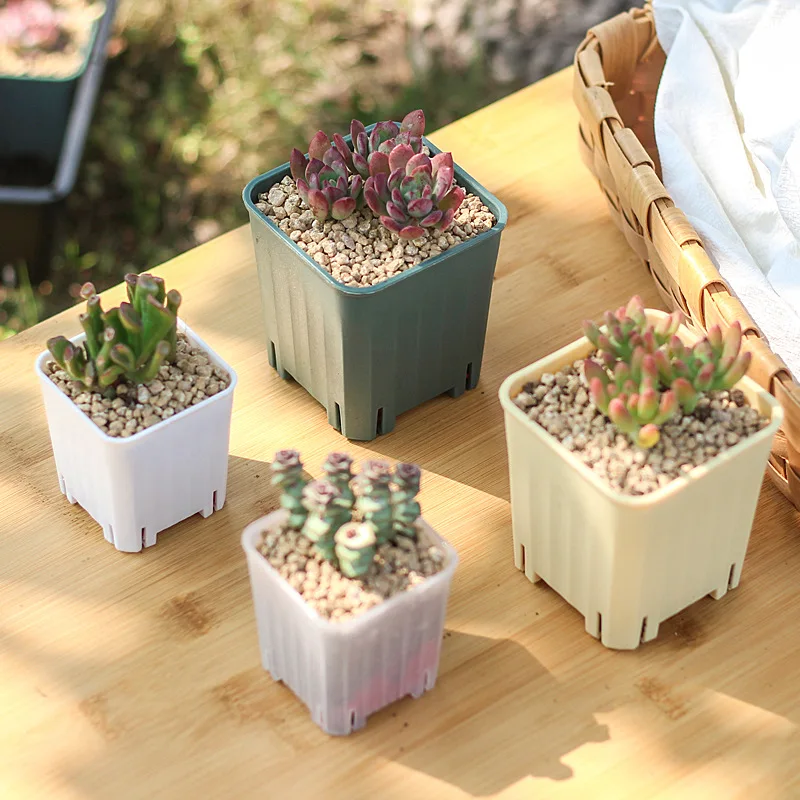 5/10 szt. Nowe zagęszczone Mini doniczki wysokiej jakości sukulenty plastikowe kwadratowe Bonsai doniczka do rozsad do dekoracji domu narzędzia