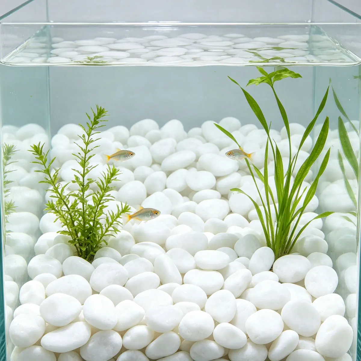 350g White High Polished Natural Pebbles 2-3cm – Smooth Decorative River Stones, Courtyard Landscape Rocks for Plant Vases, ZSY