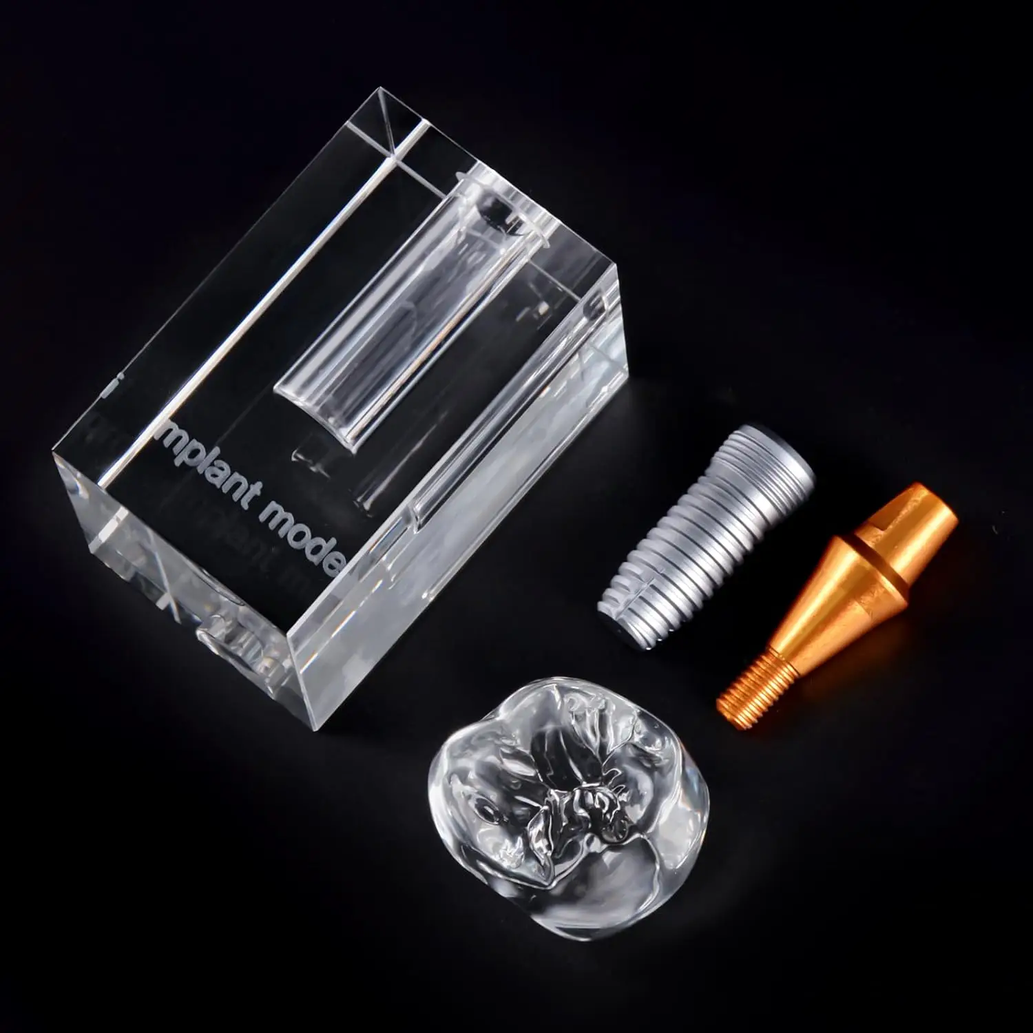 Ultrassist Dental Implant Model Transparent 3Part Display with Stand Crown and Separable Metal Implant for Medical Student Class