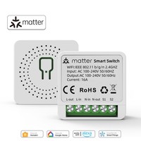 Matter WiFi Smart Switch 16A Smart Home Light Switch Relay Module Voice Control Work with Alexa Google Homekit Smartthings Tuya