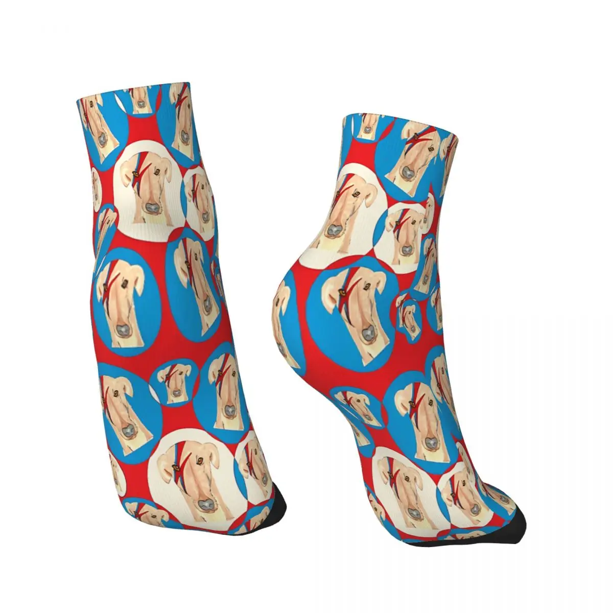 Ziggy Stardog Bubbles Geryhound Greyhounds Dog Ankle Socks Male Mens Women Spring Stockings Hip Hop