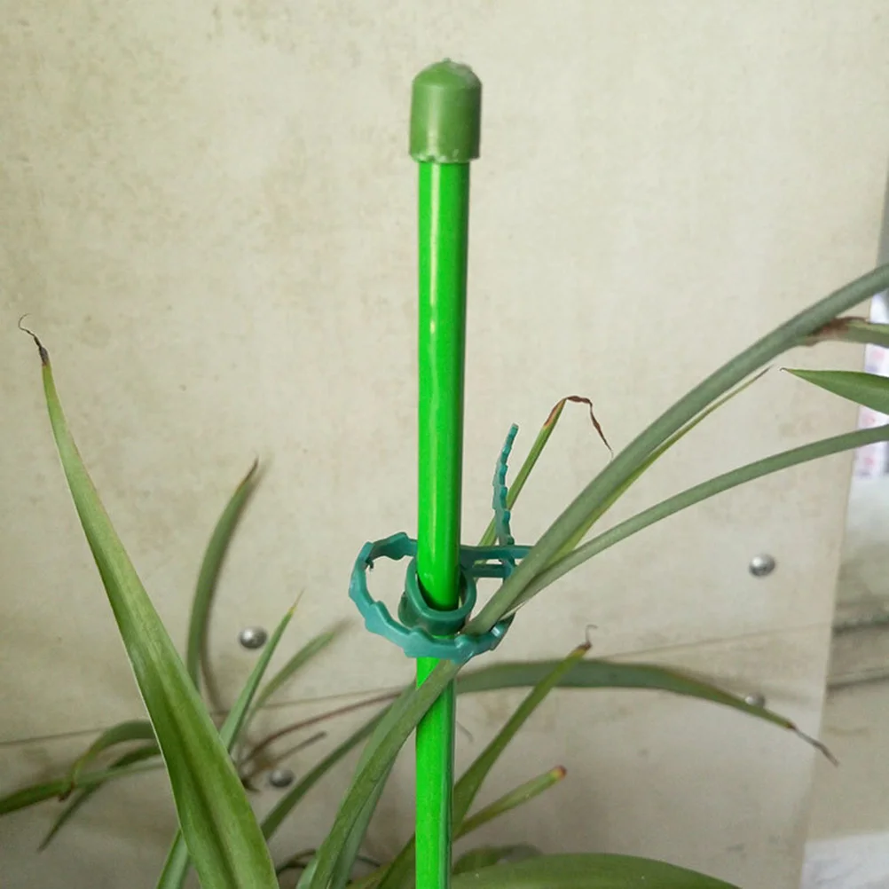 

100 Pcs Garden Tying Straps Secure Climbing Plants Vine Cable Reusable Eco Friendly Buckle Adjustable Zipper Safe Stems Support