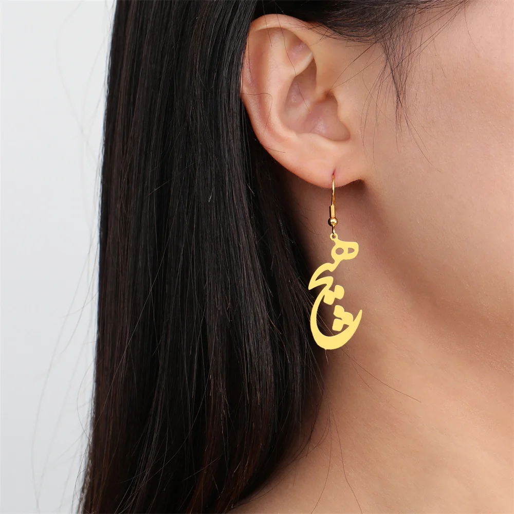 Persian Iranian Farsi Hich Hanging Earrings for Women Fashion Stainless Steel Dangle Earring Jewelry New Trend aretes de mujer