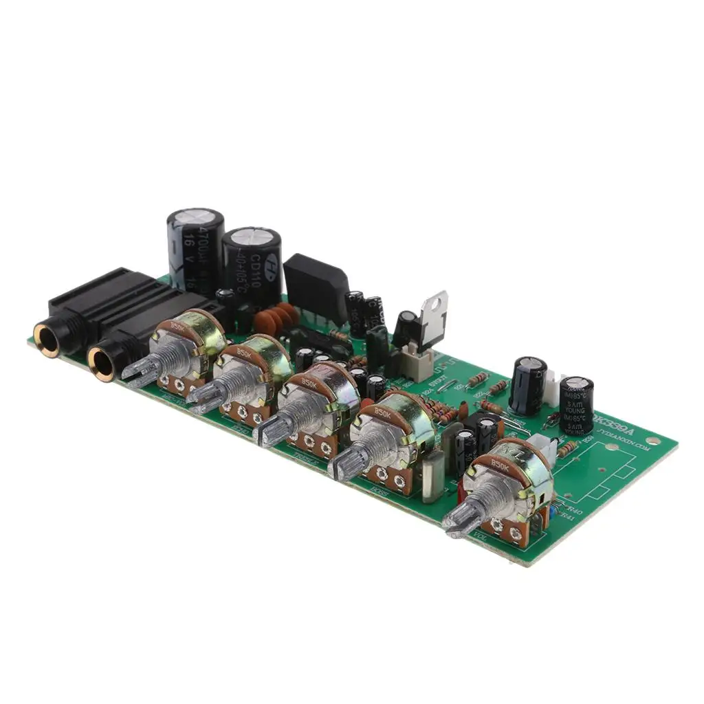 Microphone Amplifier Board with Karaoke Reverberation DIY Amplifier Board Module for Professional Sound System and 12v Audio
