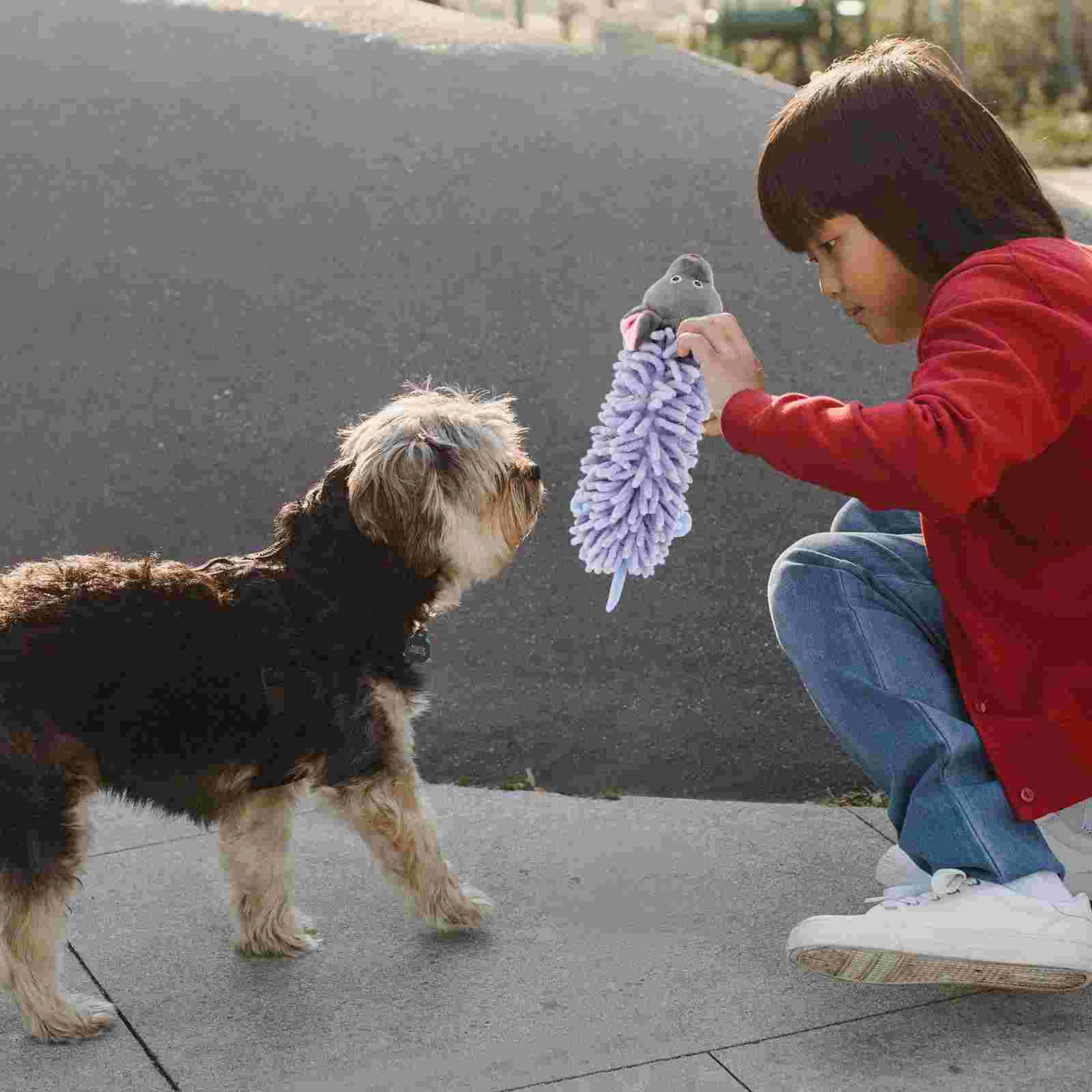 

Doggie Toys Pull + Squeak Bungee Tug of War Rope Puppy Training For Small Dogs Bite