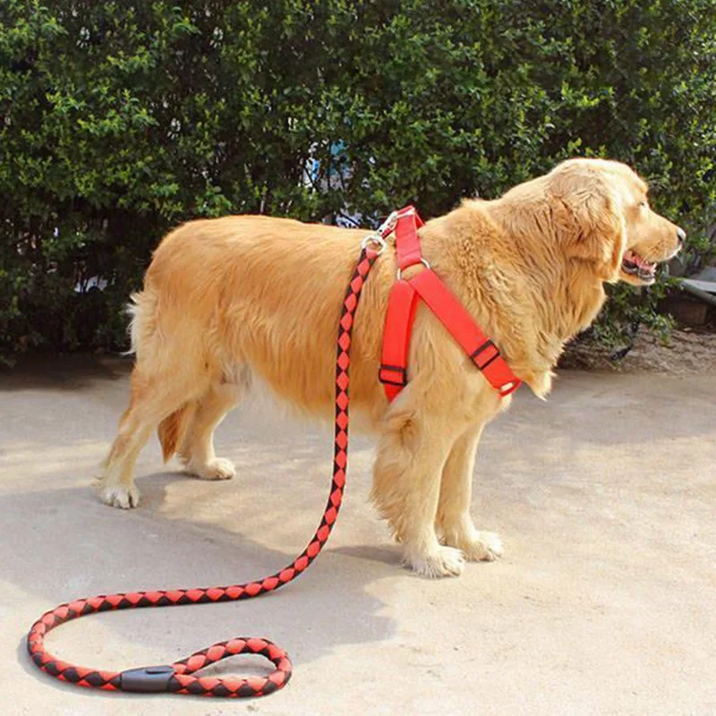 120/130/140cm Strong Leashes for Dogs Soft Handle Dog Leash Reinforced Leash for Small Medium Large Dogs Big Dog Supplies