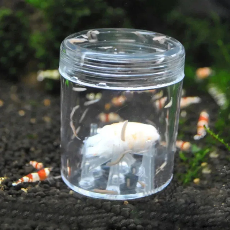 2 Stück Aquarium-Schädlingsfalle (effektiv) – Planaria & Flatworm Catcher, Aquatic Worm Trap & Essential Fish Tank Cleaner