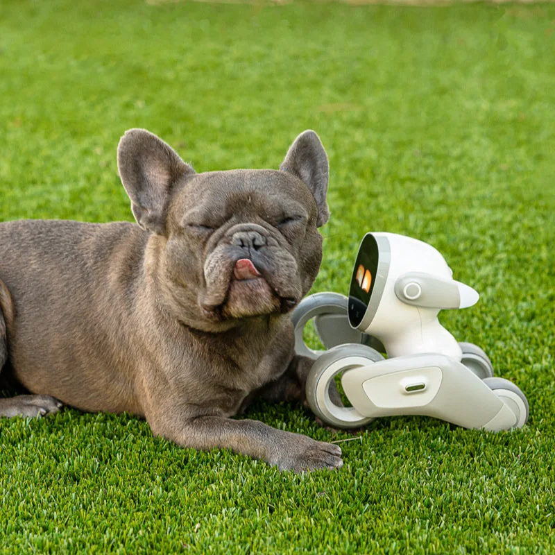 Intelligente Maschine Person LOONA Roboter Hund Kleidung AI künstliche Intelligenz Gespräch Spielzeug