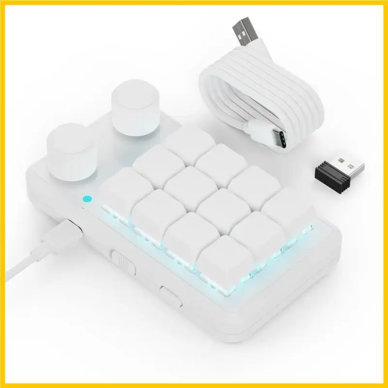 

Q1JF Programmable 12 Key Mini Mechanical Gaming Keypad with RGBs Backlights and Two Knobs, Wireless & USB C