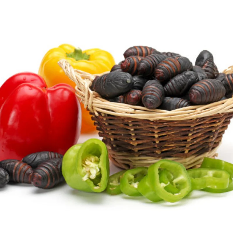 

HOBAO GPX4 1/10 Gas Touring Car CVD Drive Shaft - Hardened 45 Steel, Durable Transmission Upgrade (2pcs)