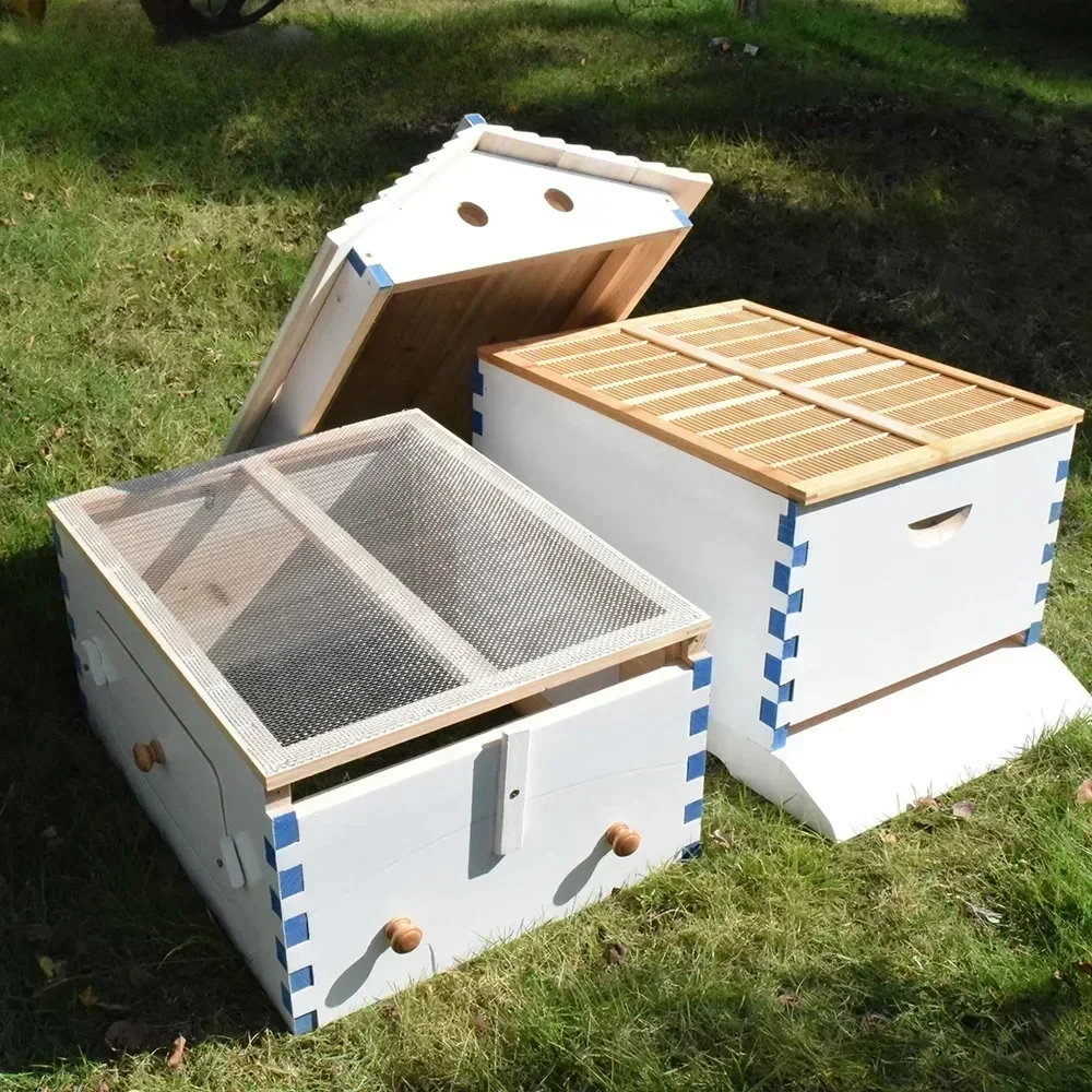 

Wooden Automatic Self-Flowing Beehive 7 Auto Frames Set Bee Hive Supplies Beekeeping Material Apiculture Chinese Painted