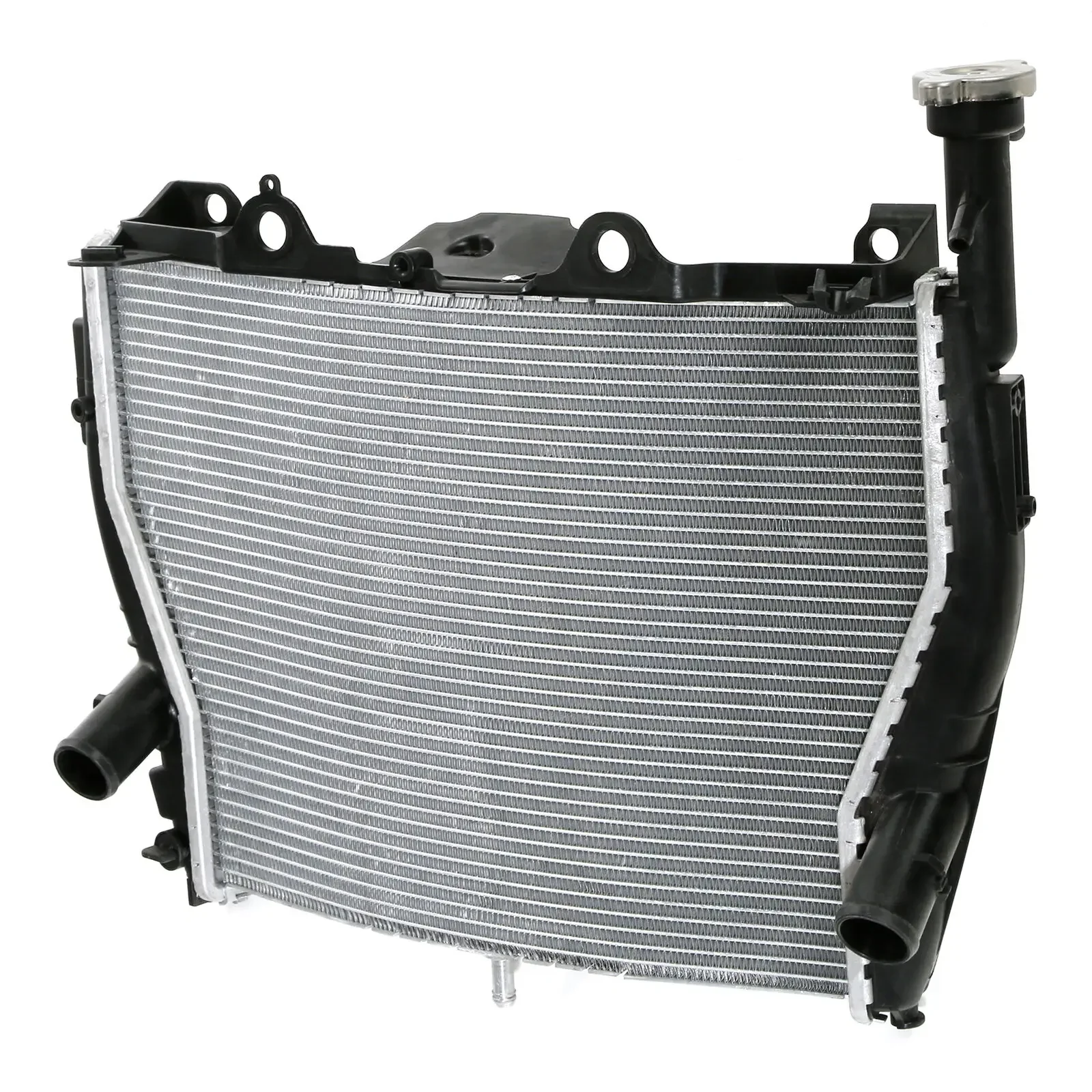 Radiator For BMW S1000RR 2009-2018 2010 2011 2012 HP4 RACE 2018 Motorcycle Accessories