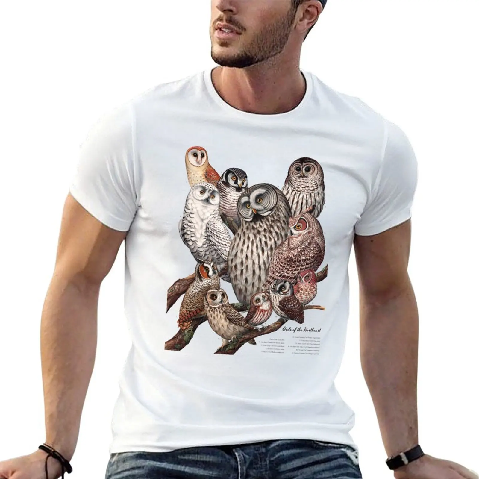 

Owls of the Northeast T-Shirt man t shirts for men t shirts for man slim fit t shirts for man pack cotton T-shirt