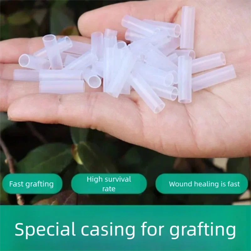 Mangas de injerto especiales para jardinería, 50 Uds., mangas de injerto de tomate, mangas de injerto de berenjena vegetal, accesorios para plantas de jardín