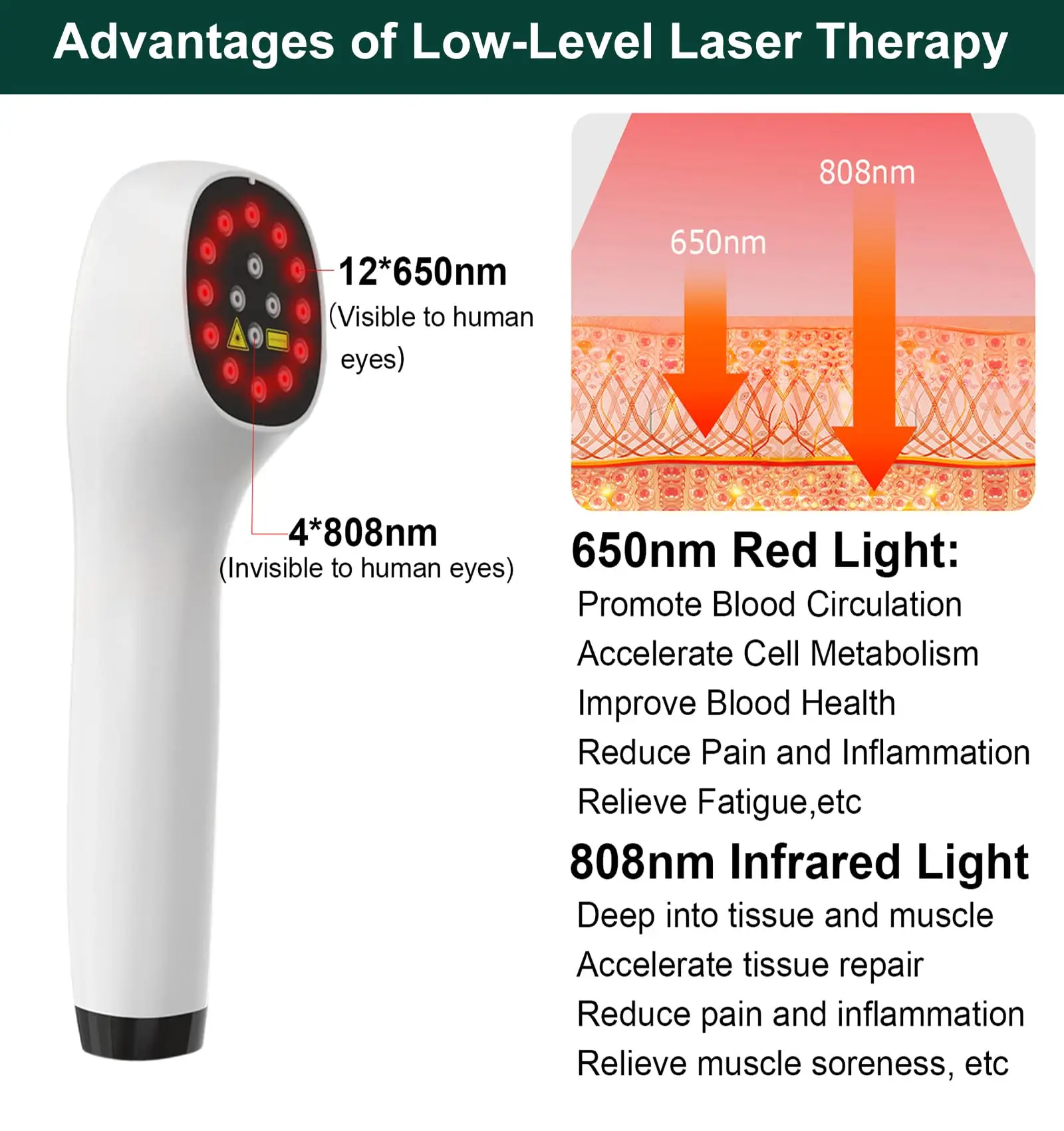 Portable Red Light Therapy for Horses Cold Laser Therapy Device for Pets Therapy Vet Device for Pain Relief Skin & Wound Care