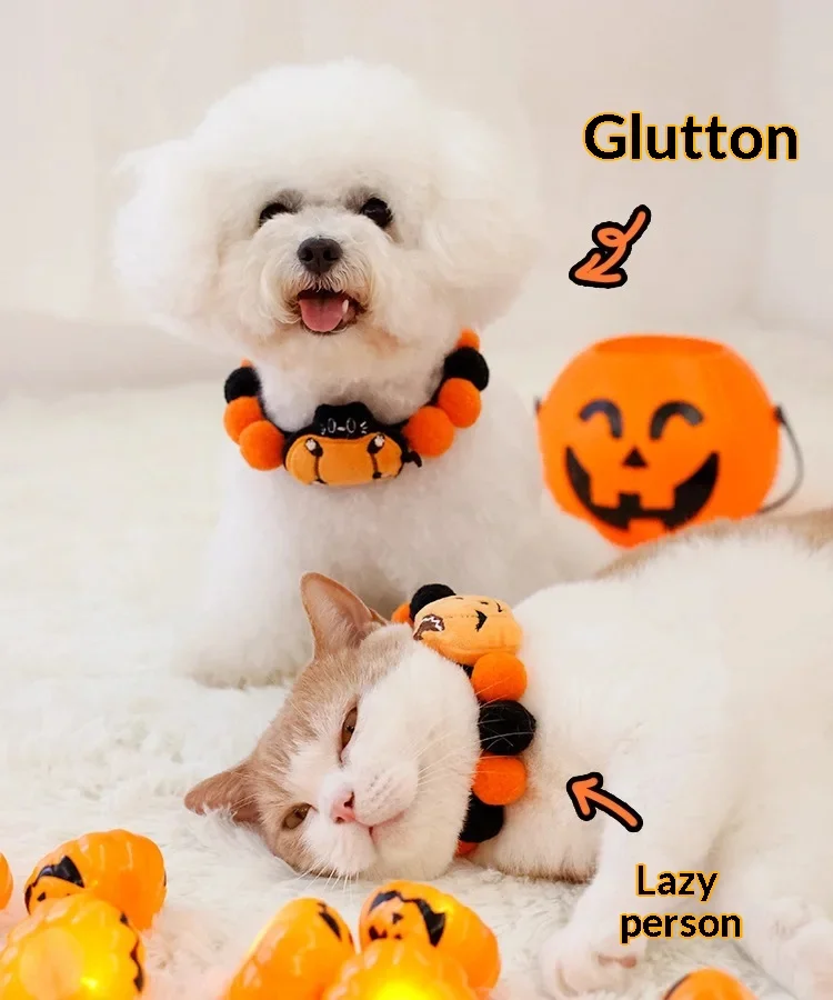 https://ae-pic-a1.aliexpress-media.com/kf/S3c117dcd32e9476a881914bcd0f914370.jpg