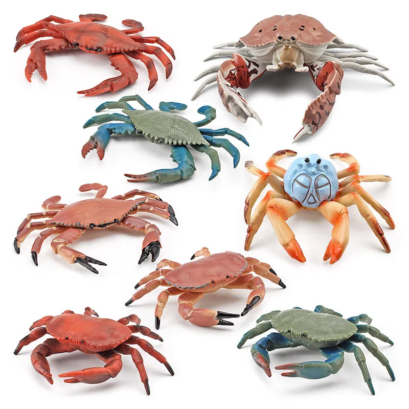 Simulazione Kawaii Marine Animal Crab Lobster Action Figures modello Fish Tank Decor corpo marino giocattoli educativi cognitivi per bambini