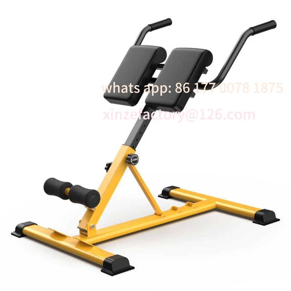 

Customizable Good Quality Gym Fitness Roman Bench