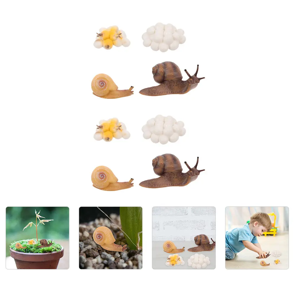 

Snail Growth Cycle Figurines Simulated Plastic naments Kids Plaything Life Cycle Decor Home Garden Shop Building Blocks