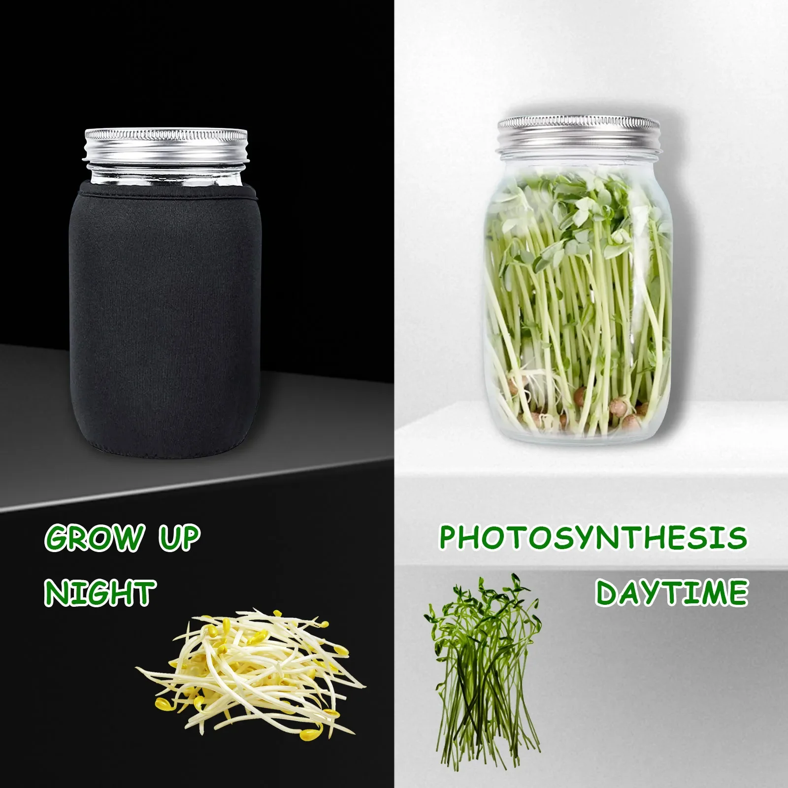 

Seed Sprouting Jar Kit Durable Glass Bean Sprouts Growing Kit with Stainless Steel Screen Sprout Lids Stands Shading Cloths Tray