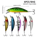 6pcs
