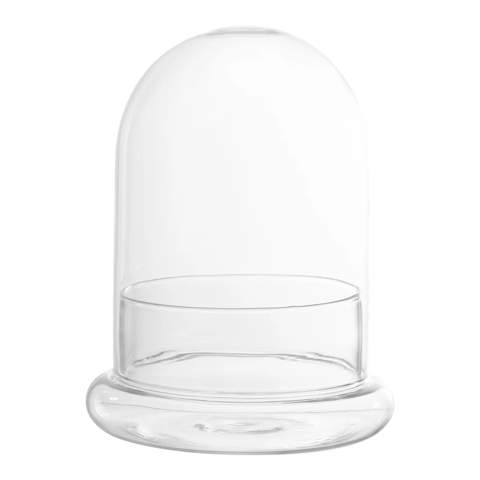 

Plant Protector Cover Plastic Cloche Plant Plant Dome Protector Terrarium Bell Jar Bottle for Garden Bell Cloche