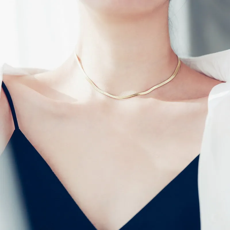 

Simple snake bone chain 2024 new explosive light luxury niche titanium steel does not fade all matching Women Men choker Gift